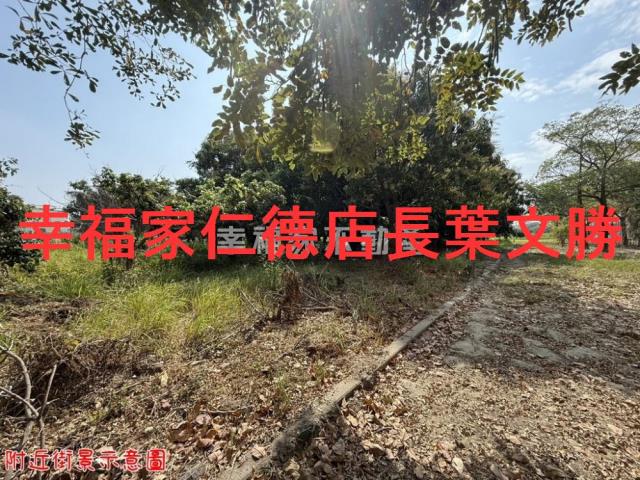 台南歸仁農地-2