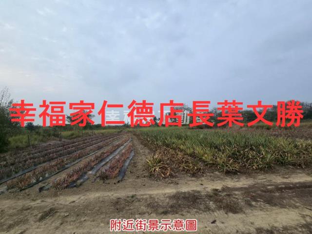 台南歸仁農地-6