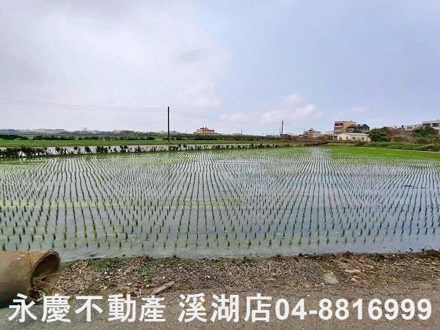 彰化福興農地-3