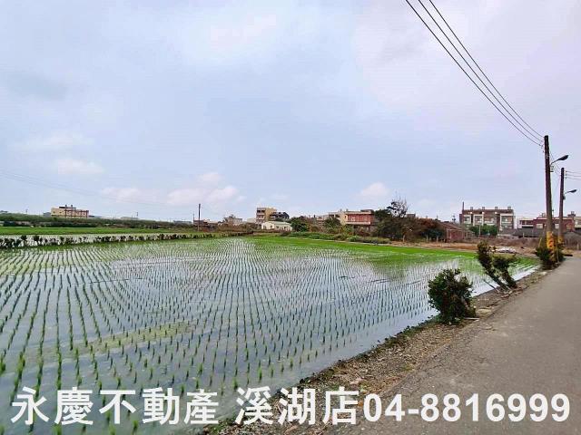 彰化福興農地-6