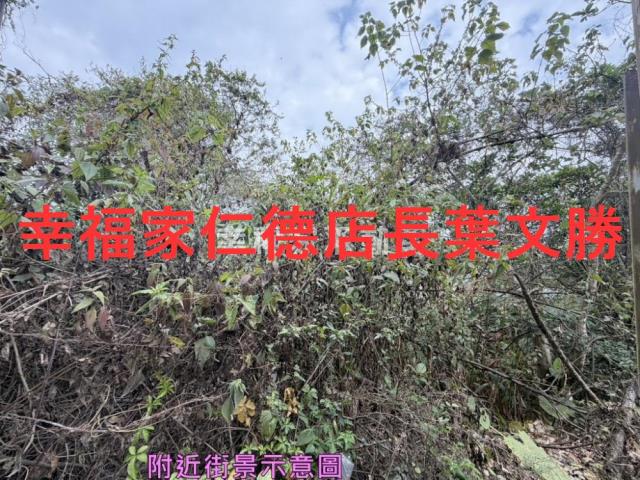 台南白河農地-11