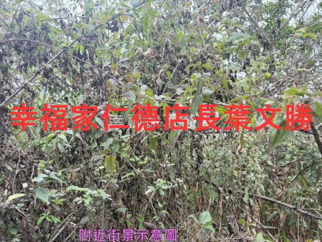 台南白河農地-2