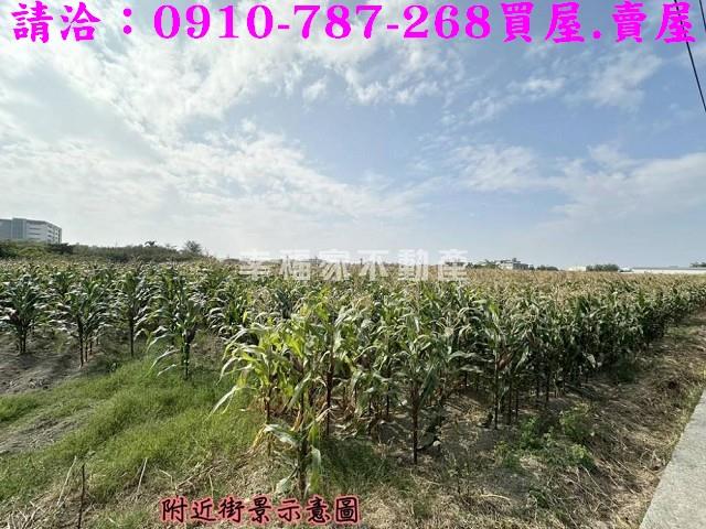 台南西港農地-11