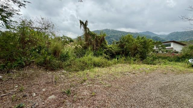 新竹橫山農地-9