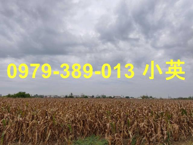 台南鹽水農地-7