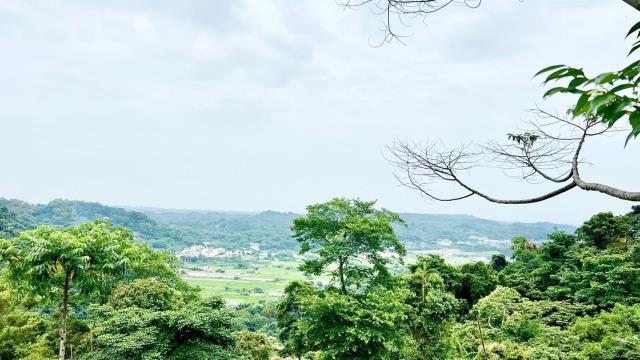 新竹農地-15
