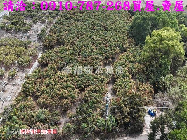 台南官田農地-14