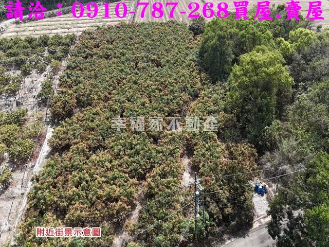 台南官田農地-5