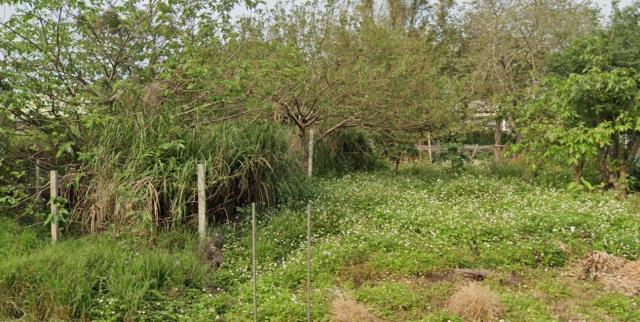 桃園新屋建地-2