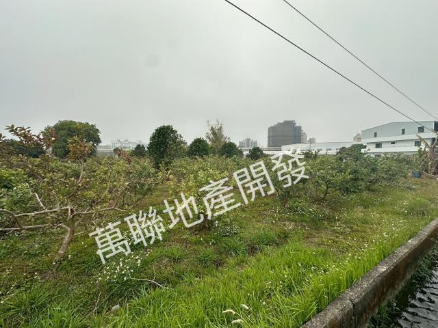 潭子農地-4