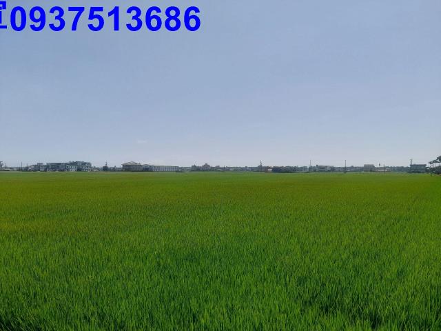 宜蘭壯圍農地-1