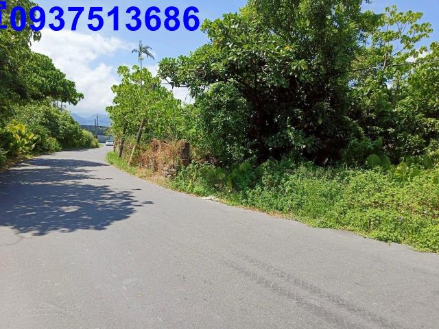 宜蘭羅東建地-9