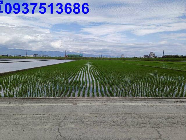 宜蘭壯圍農地-11