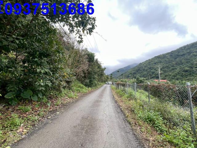 宜蘭員山農地-10