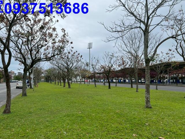 宜蘭宜蘭市農地-7