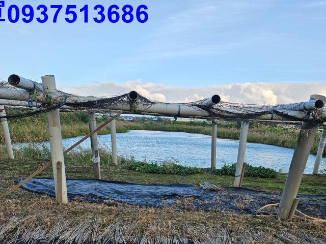 宜蘭壯圍農地-13