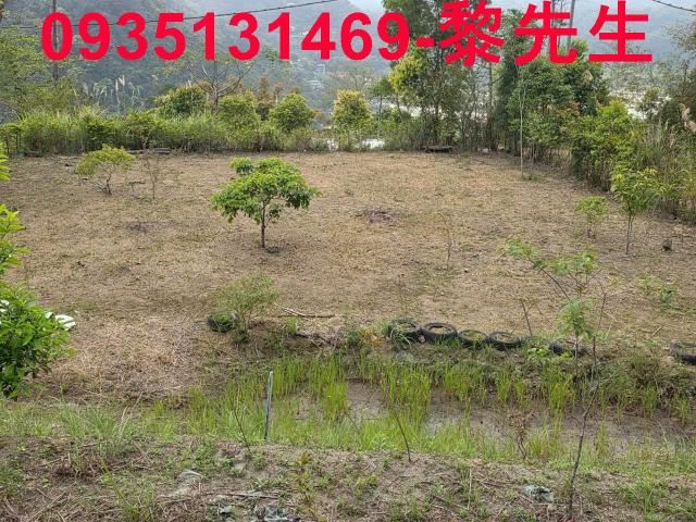 新竹橫山農地-13