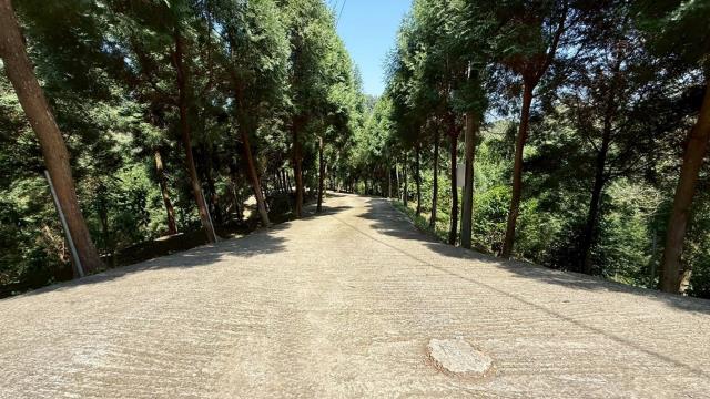 新竹橫山農地-13