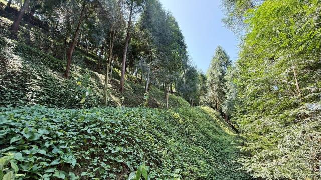 新竹橫山農地-14