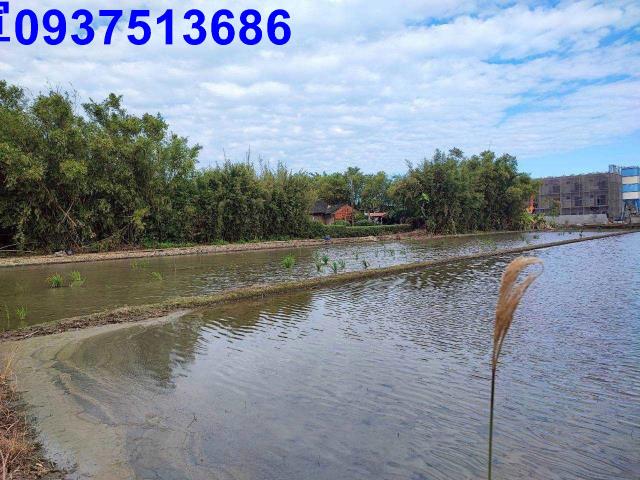 宜蘭壯圍農地-3