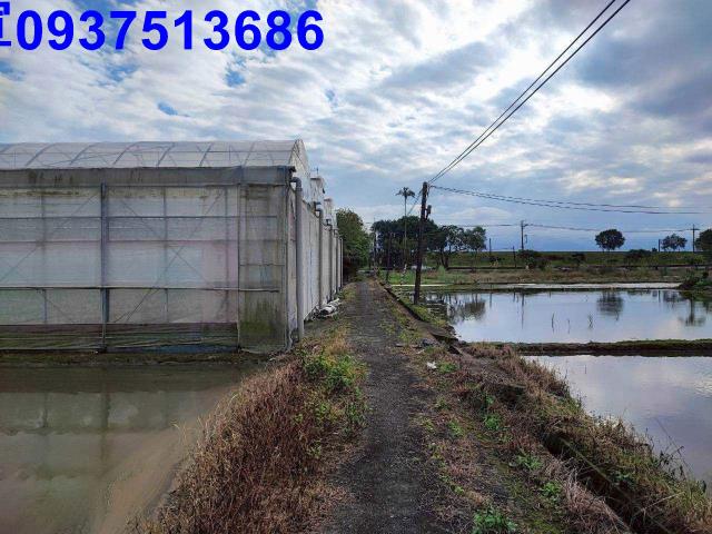 宜蘭壯圍農地-6