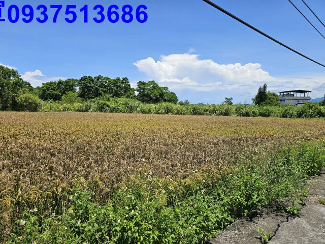 宜蘭員山農地-5