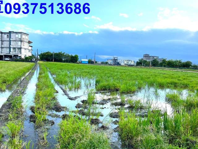 宜蘭壯圍農地-8