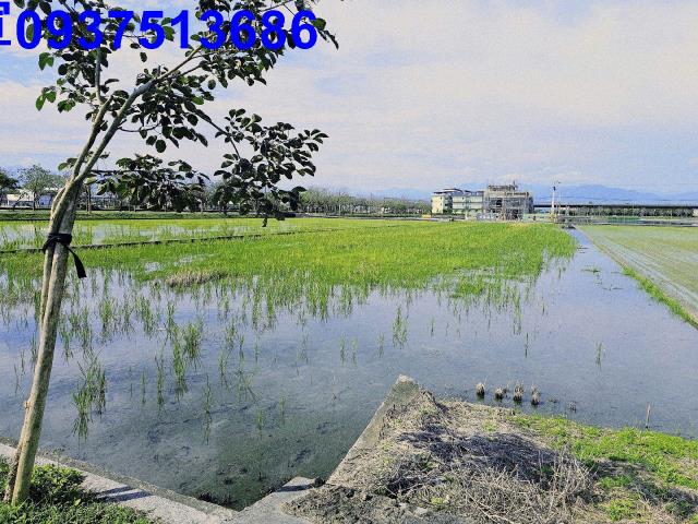 宜蘭壯圍農地-2