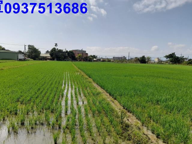 宜蘭礁溪農地-7