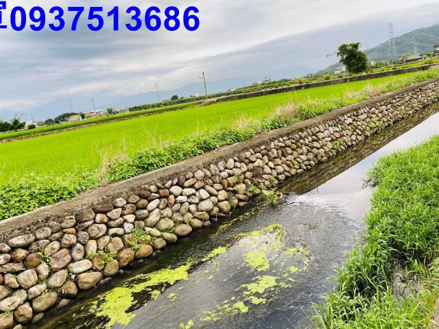 宜蘭宜蘭市農地-8