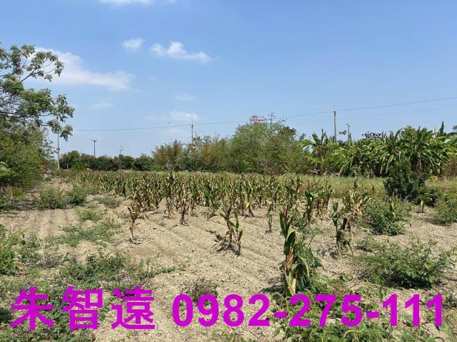 善化農地-6