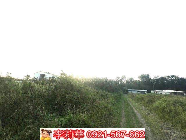 台南農地-4