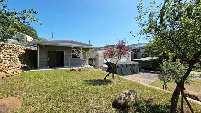 新竹新埔農地-4