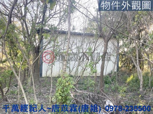 新竹竹北農地-6