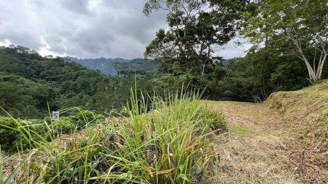 新竹北埔農地-14