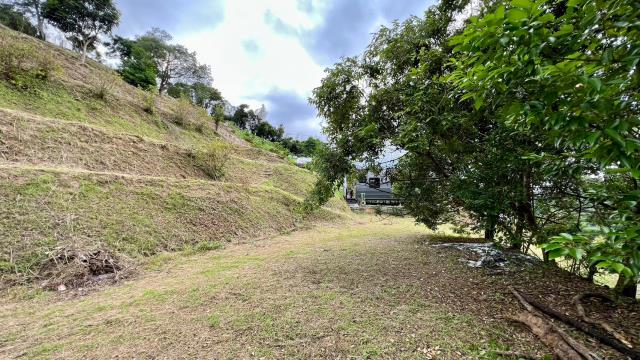 新竹北埔農地-6