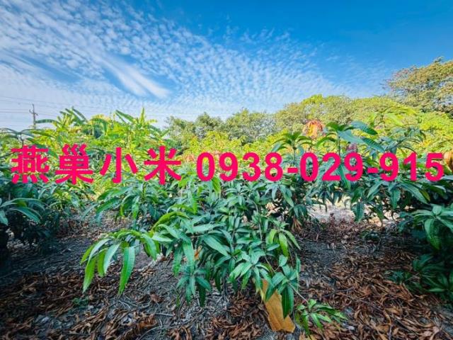 高雄農地-1