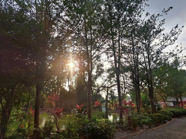 南投竹山農地-7