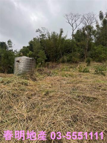 新竹芎林農地-4