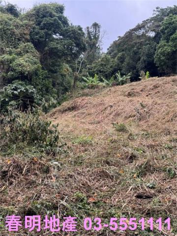 新竹芎林農地-5