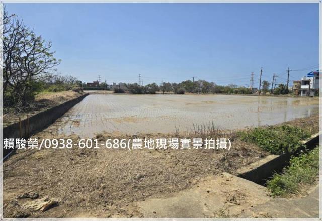 桃園觀音保興路農地售