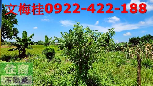 宜蘭農地-1