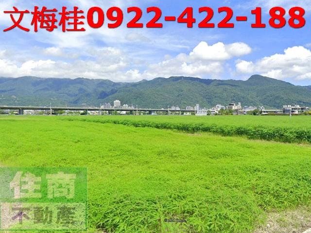 宜蘭礁溪農地-3