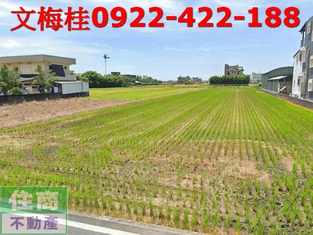 宜蘭壯圍農地-1