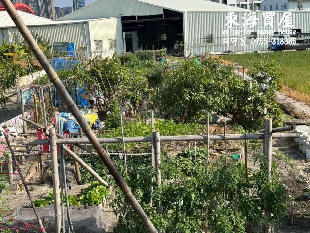 台中西屯農地-6