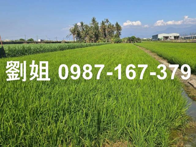 屏東市農地-1