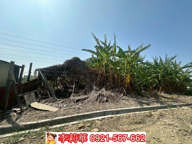 柳營建地-4