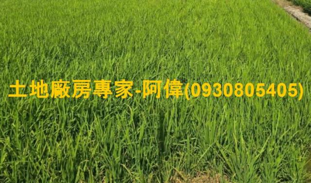 屏東市農地-1