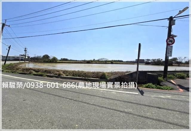 桃園觀音保興路農保田