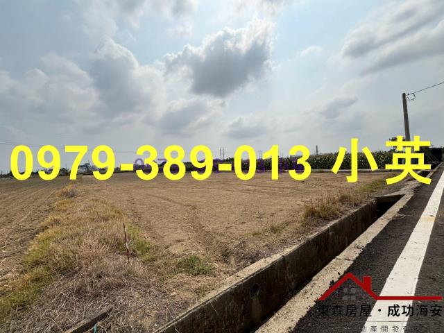 台南新市農地-4